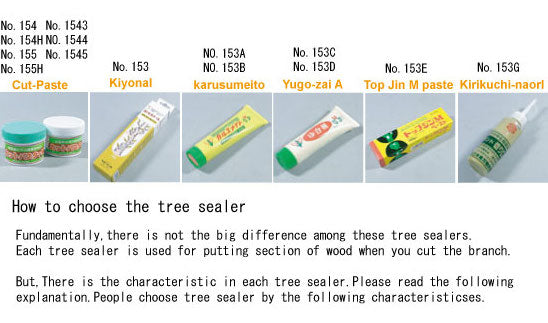 Top Jin M paste (w/ sterilization)